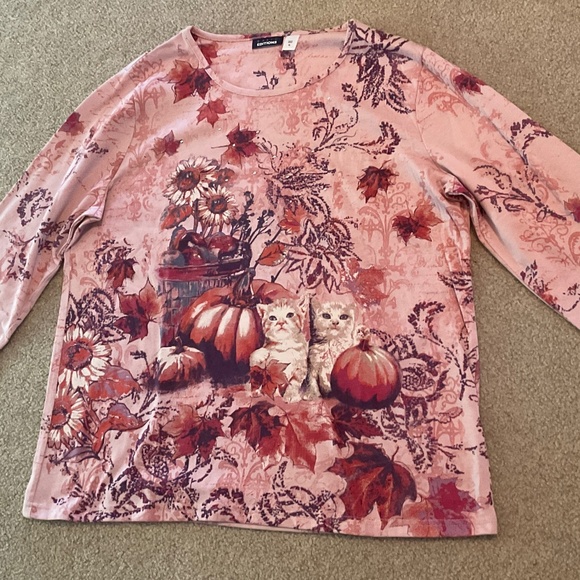size XL, bust is up to 44 inches, kittens and pumpkins shirt, new 🐈‍⬛ condition - Picture 6 of 7
